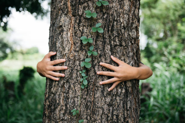 Celebra el Día Internacional del Árbol con el poder del compostaje: promoviendo un crecimiento saludable y sostenible