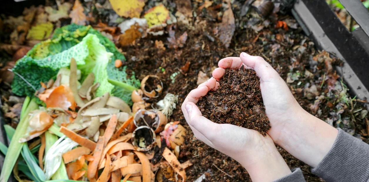 Chicureo Sustentable y Local Compost: Una alianza de trabajo desde sus Inicios en favor de la sustentabilidad