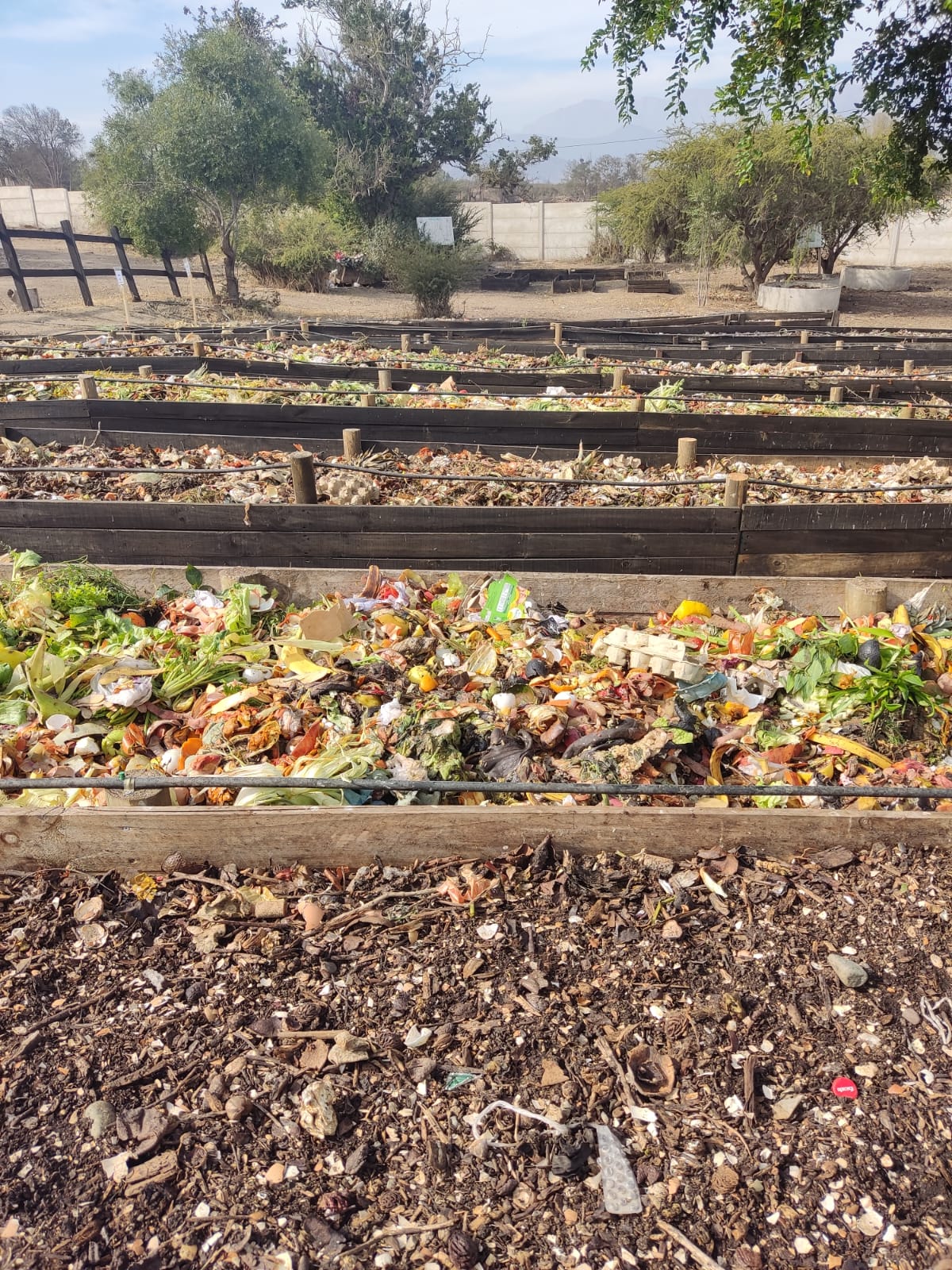 Local Compost Impulsa la Sostenibilidad en el Día Internacional contra el Cambio Climático