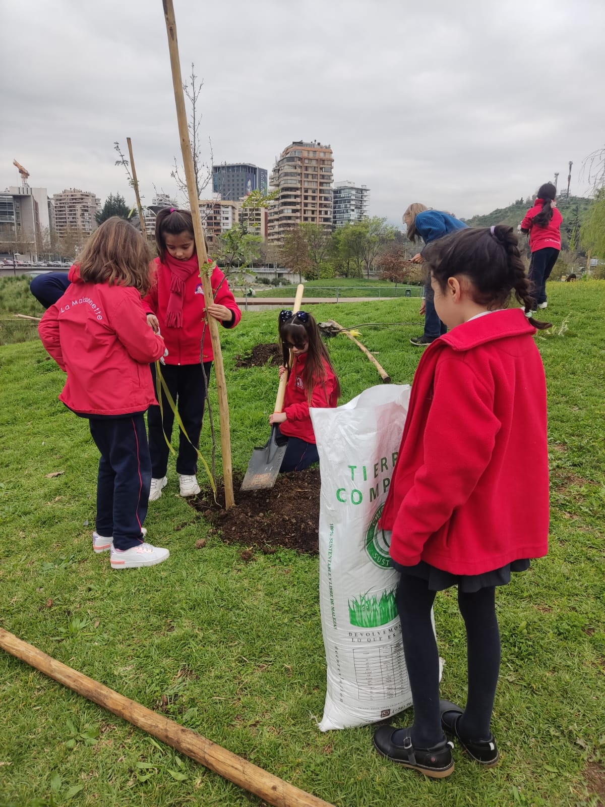 Estudiantes de segundo básico plantan árboles vativos en parque de Vitacura con compost generado por el programa
